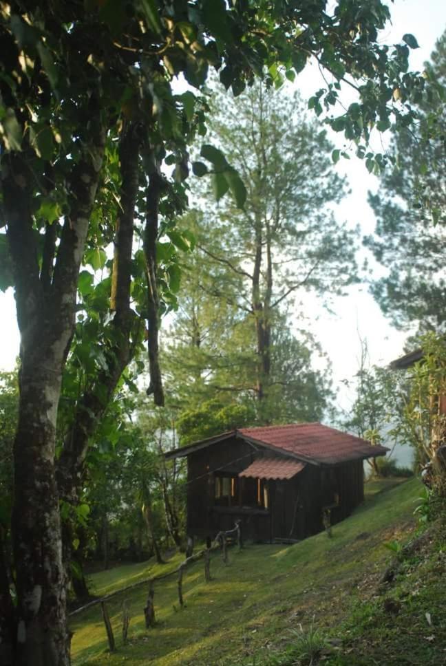 Cabanas Don Camilo Albergue De Montana Cabecera de Canas المظهر الخارجي الصورة