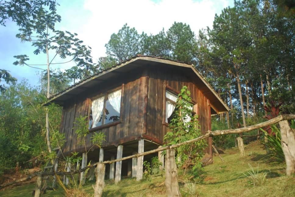 Cabanas Don Camilo Albergue De Montana Cabecera de Canas المظهر الخارجي الصورة