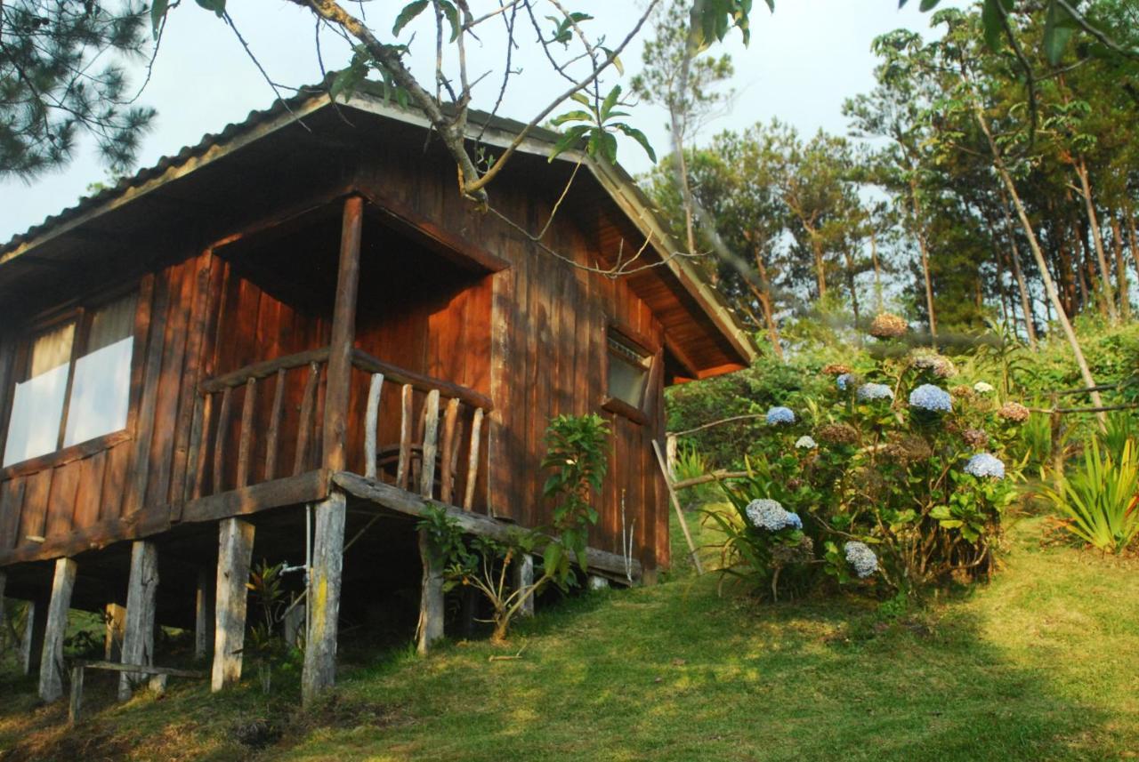Cabanas Don Camilo Albergue De Montana Cabecera de Canas المظهر الخارجي الصورة